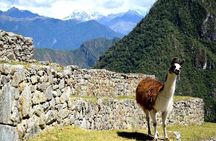 Machu Picchu by Train 3D/2N (Sleep in Cuzco Day 1, Aguas Calientes Day 2)
