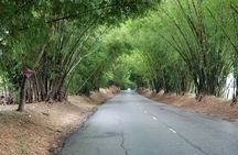 Private Appleton Estate Rum Tour & Black River Safari –Experience