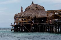 13. Appleton Rum Estate & Black River Safari Private Guided Combo all day tour