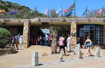 Cape of Good Hope Penguins From Cape Town Excl Entry Fees Tour