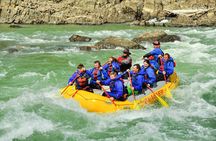 Half Day Whitewater Rafting Trip