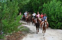 STROLL the Jungle Trails on a HORSE. Includes Transportation and Equipment.