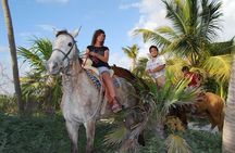 STROLL the Jungle Trails on a HORSE. Includes Transportation and Equipment.