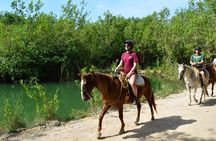STROLL the Jungle Trails on a HORSE. Includes Transportation and Equipment.