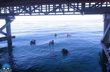 PADI Open Water Course