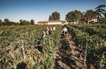 Saint-Emilion Food and Wine Day Tour