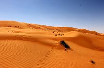 Wahiba Sands and Wadi Bani Khalid Day Tour