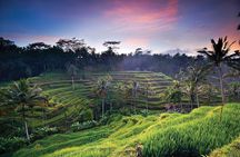 Bali Highlights : Nature, Waterfall, Rice Terraces and Volcano