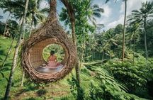 Design-Your-Own Tour: Private Customized Bali Tour