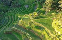 Best of Ubud: Rice Terrace, Temple and Waterfall Private Tour