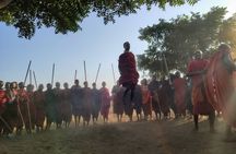 Private Full-Day Tour Maasai Village and Kikuletwa Hot Spring