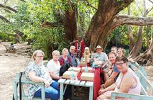 Private Full-Day Tour Maasai Village and Kikuletwa Hot Spring