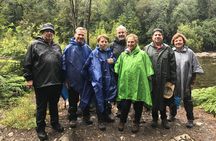 Full day HIKE Alerce Andino Parque Nacional.