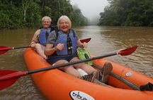 Deep Yasuni Wildlife Experience