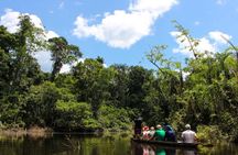 Deep Yasuni Wildlife Experience