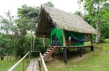 Deep Yasuni Wildlife Experience
