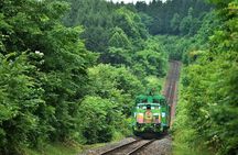 Furano & Biei 4 hour Tour: English Speaking Driver only, No Guide