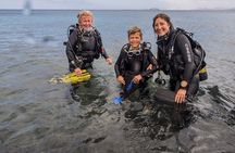 Discover Scuba Diving