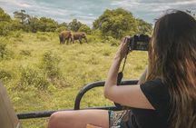 Ella to Mirissa Shuttle & Safari Drive