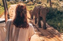 Ella to Mirissa Shuttle & Safari Drive