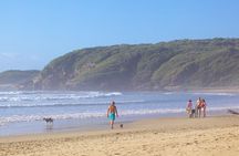 3 Day Garden Route & Botlierskop Game Safari From Cape Town 
