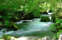 Oirase Gorge and Lake Towada Day Hike with Government-Licensed Guide