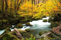 Oirase Gorge and Lake Towada Day Hike with Government-Licensed Guide