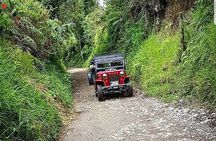 Cocora, Salento and Coffee Experience