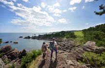 Hachinohe Full-Day Private Trip with Government-Licensed Guide
