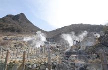 Hakone 6 hour Private Tour with Government-Licensed Guide