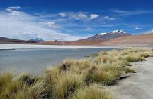 Private Sajama National Park Expedition | 2 Days from La Paz