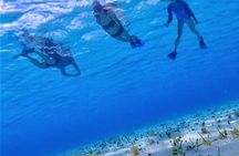 Full-Day El Cielo Snorkel Tour in Cozumel with Transportation and Lunch