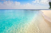Full-Day El Cielo Snorkel Tour in Cozumel with Transportation and Lunch