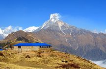 Mardi Himal Trek (4500 meters)