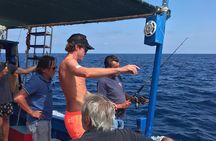 Boat tour in Ponza and Palmarola with a fisherman with lunch 
