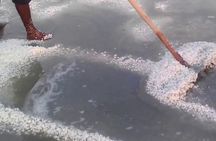 Visit Salt factory and the Famous Munneswaram Hindu Temple From Negombo