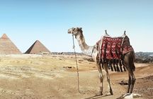 Turning into Pharaoh King while riding a Camel