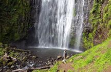 Private Full-Day Materuni Waterfalls & Coffee Tour from Moshi
