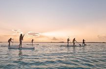 Sunrise by Paddle or Kayak with Floating Picnic