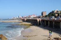 6 Day Garden Route Small Group Tour Fr CapeTown - Departs Mondays