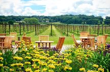 Wine Tours of Kent Private group booking
