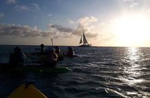 Aruba Night Glass Kayak Tour