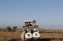 11 Days Mount Kilimanjaro Hiking and Private Tanzania Lodge Safari