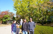 Osaka Castle and a visit to the longest shopping street in Japan