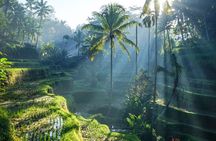 Best of Ubud: Rice Terrace, Temple and Waterfall Private Tour