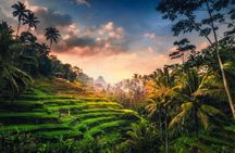 Bali Full-Day Sightseeing Trip with Lunch