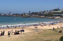 Mosselbay Day tour