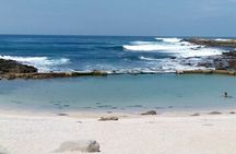 Mosselbay Day tour