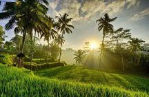Best of Ubud with Tanah Lot Temple Private Tour