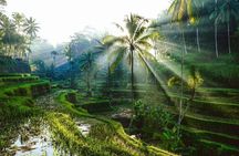 Bali Instagram Tour: The Most Beautiful Spots
